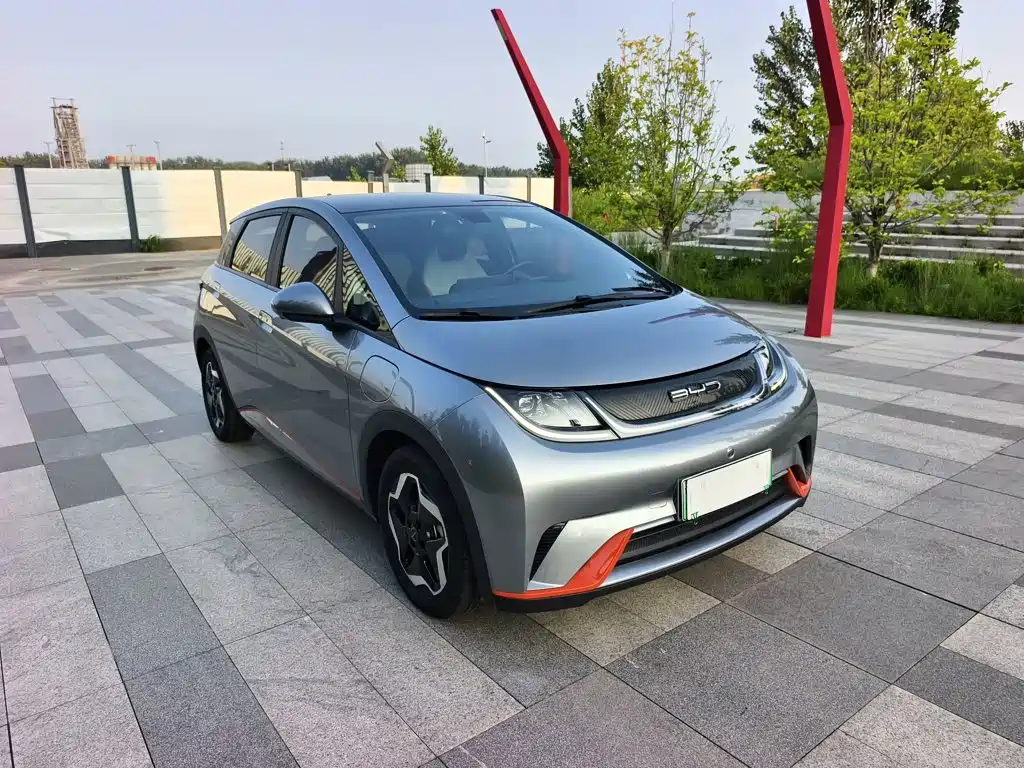 BYD Dolphin 2022
