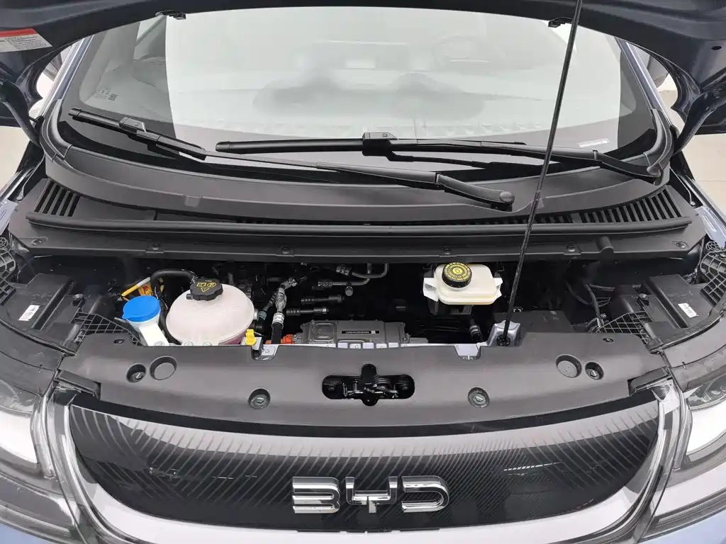 BYD Dolphin 2026