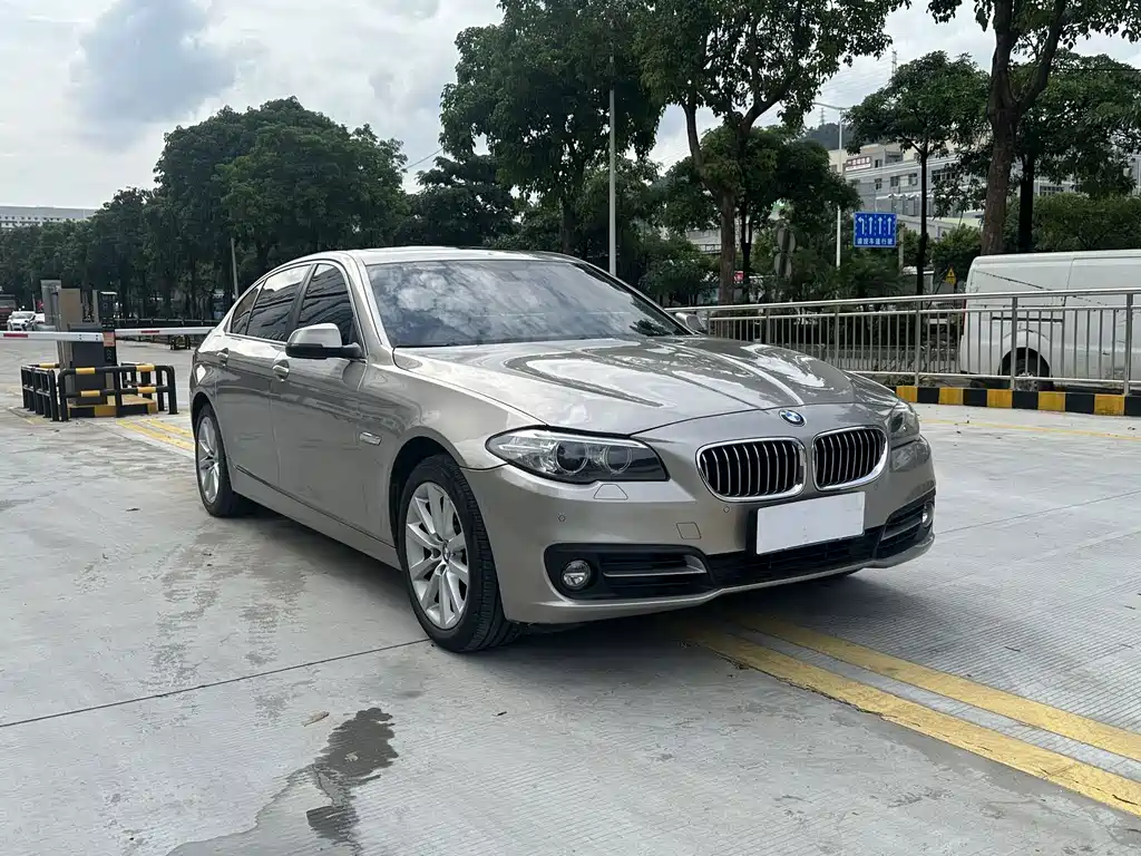 BMW 5 Series 2014
