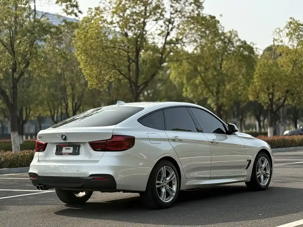 BMW 3 Series GT 2019 — фото 6