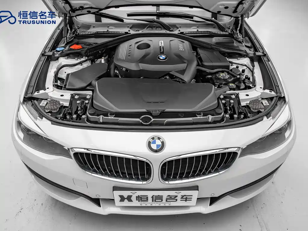 BMW 3 Series GT 2017 — фото 20