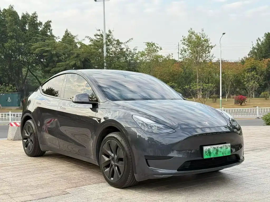 Tesla Model Y 2024 — фото 3