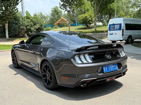 Ford Mustang 2019