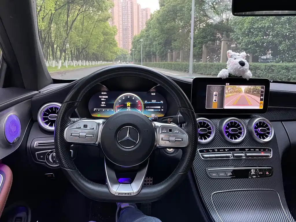 Mercedes-Benz C-Class 2018 — фото 11