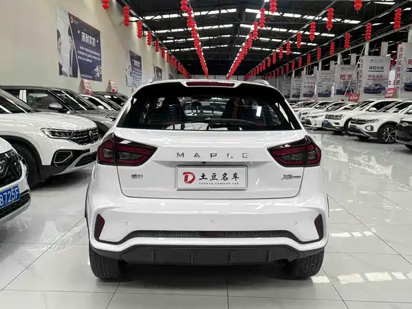 Livan Ruilan Automobile X3 PRO 2022