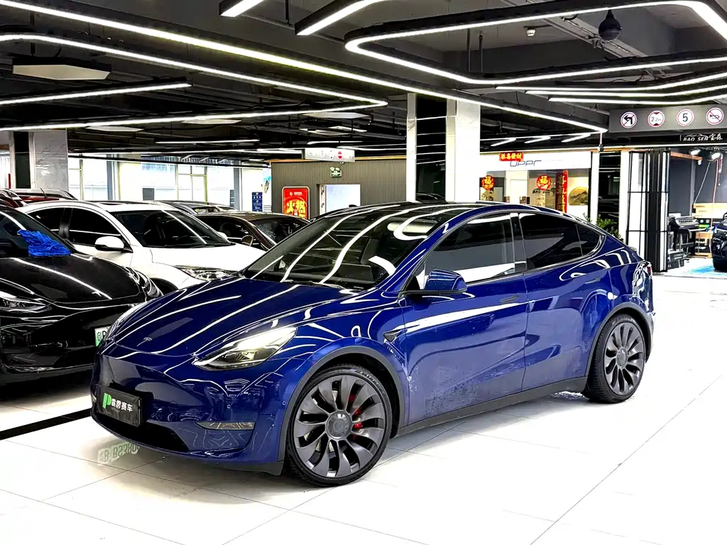 Tesla Model Y 2021 — фото 6