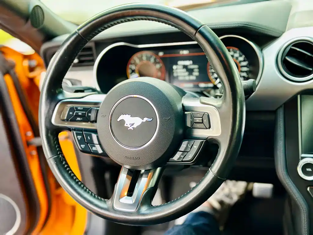 Ford Mustang 2019 — фото 21