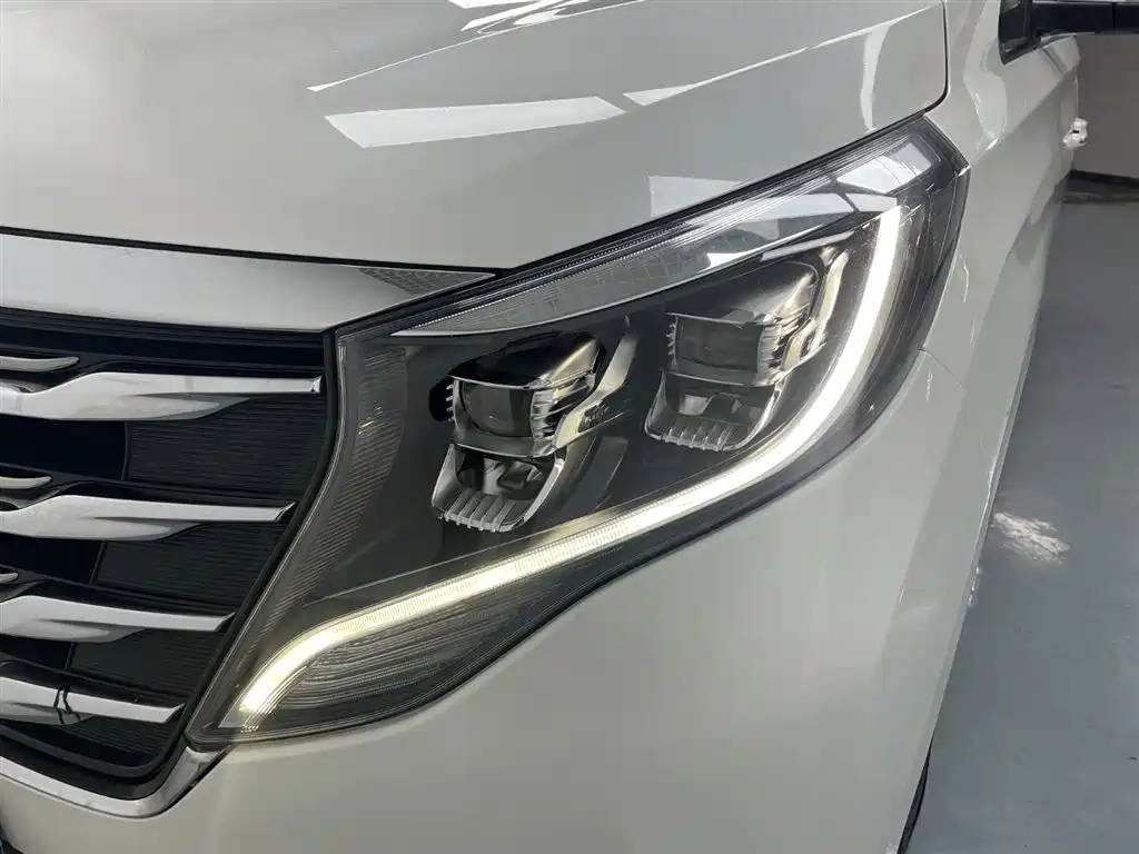 GAC Motor Trumpchi M8 2019 — фото 11