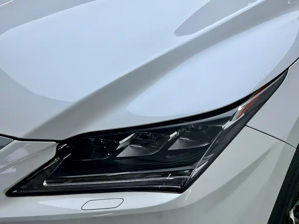 Lexus RX 2017 — фото 14