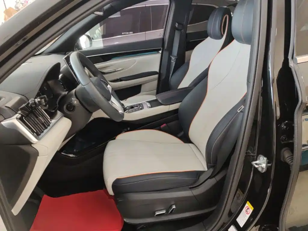 BYD Song PLUS New Energy 2021 — фото 15