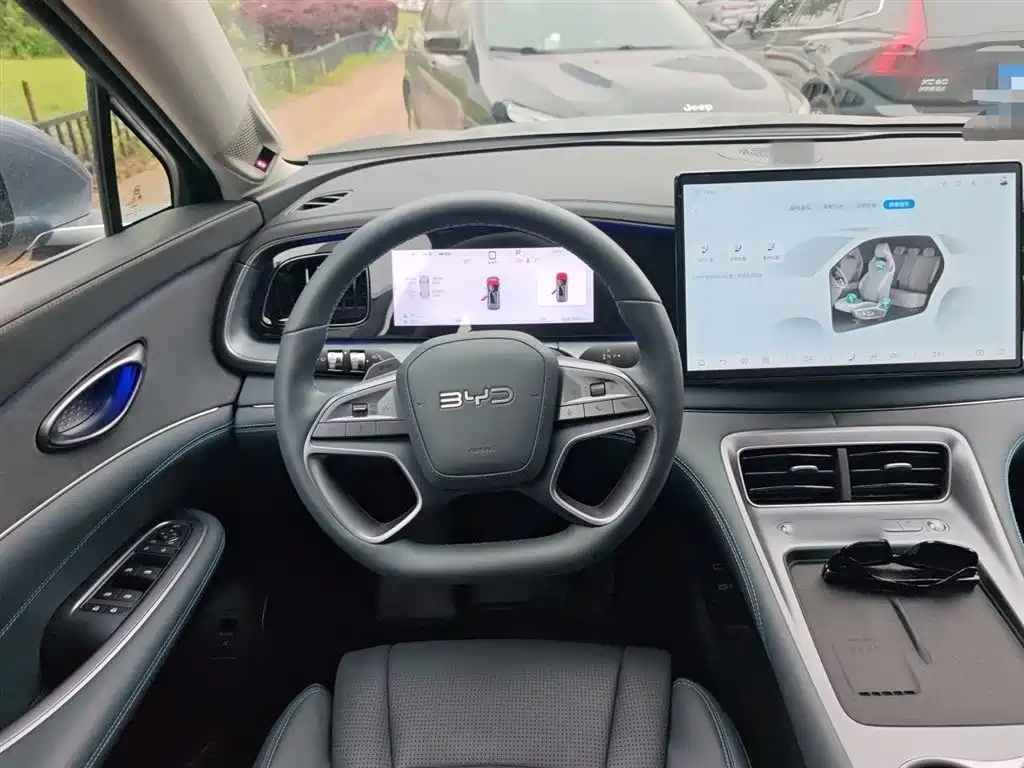 BYD Sealion 07 DM-i 2025 — фото 11