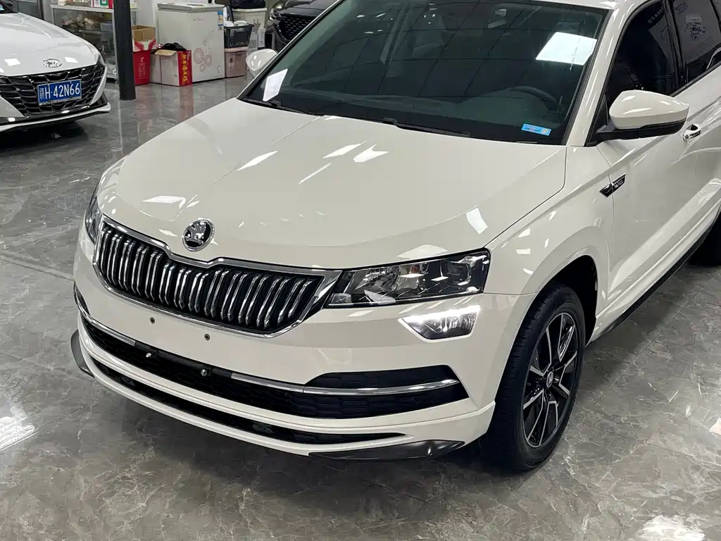Skoda Karoq 2021 — фото 18