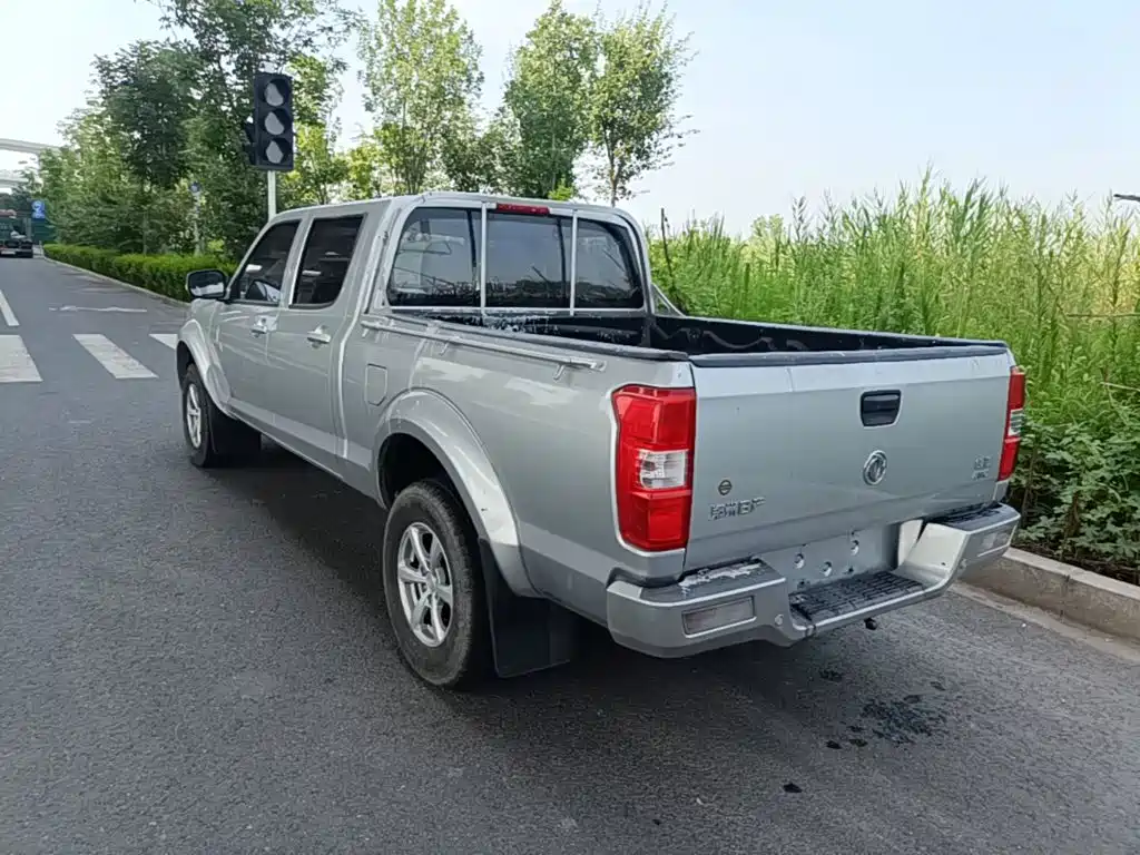 Dongfeng Ruiqi 2023