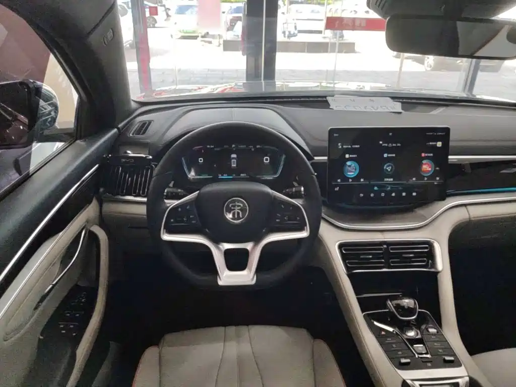 BYD Song PLUS New Energy 2021 — фото 11