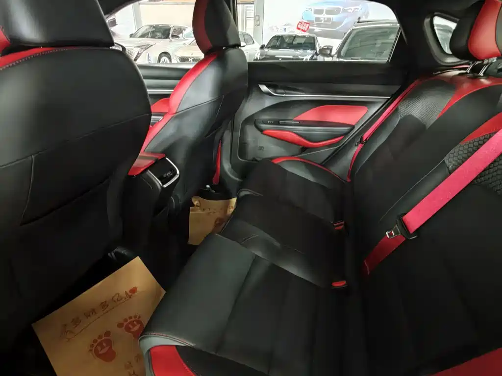 Geely Binrui 2022