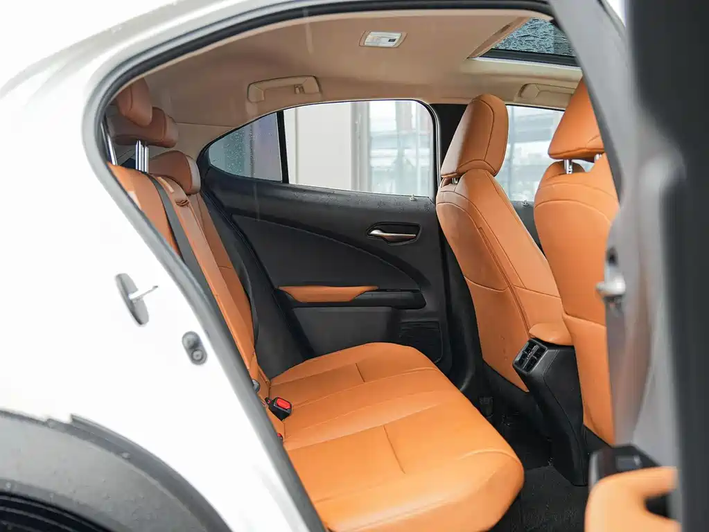 Lexus UX 2021 — фото 14
