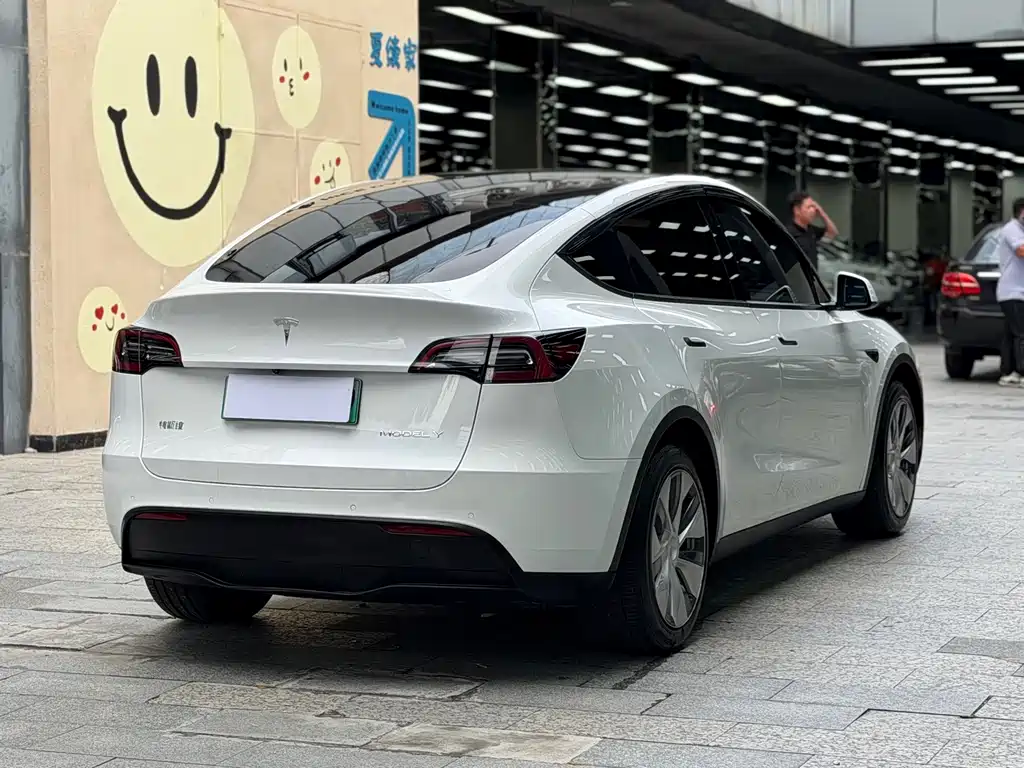Tesla Model Y 2021 — фото 14