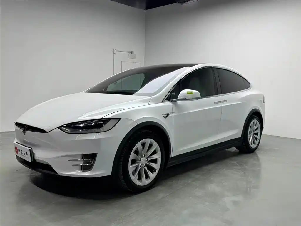 Tesla Model X 2019 — фото 1