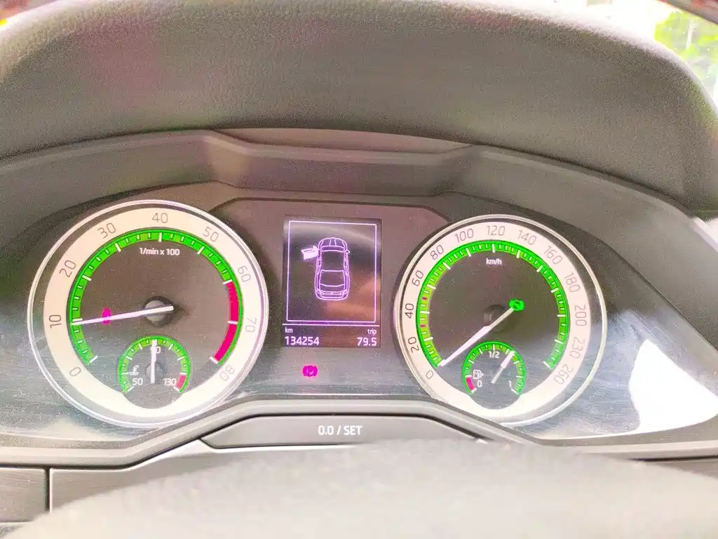 Skoda Speedy 2019 — фото 8