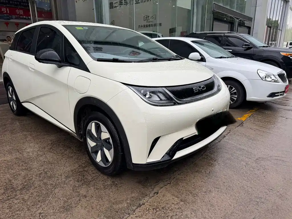 BYD Dolphin 2026