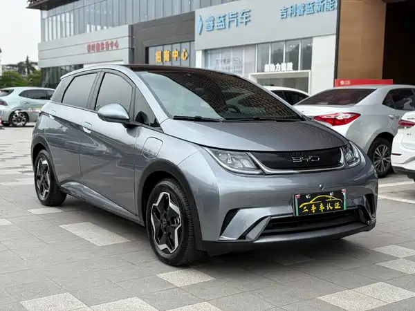 BYD Dolphin 2021