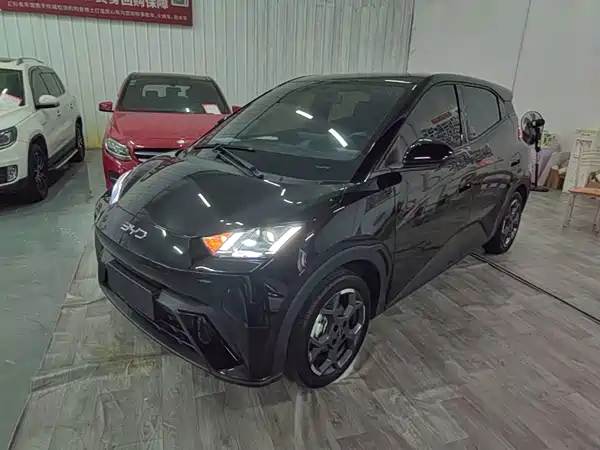 BYD Seagull 2024