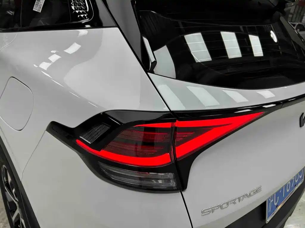 Kia Lion Platinum Expands The Boundary 2026 — фото 18