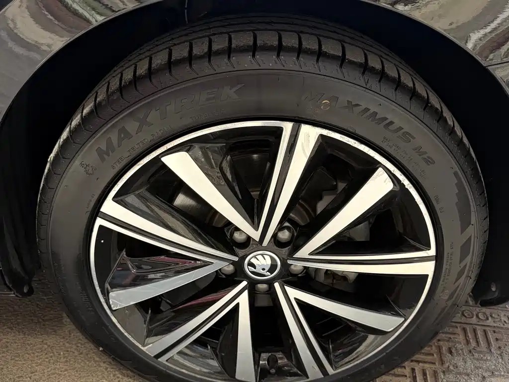 Skoda Speedy 2023 — фото 21