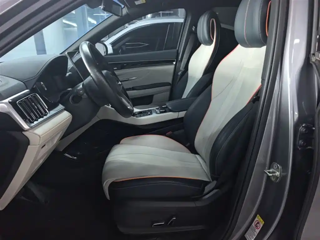 BYD PLUS New Energy 2023 — фото 15