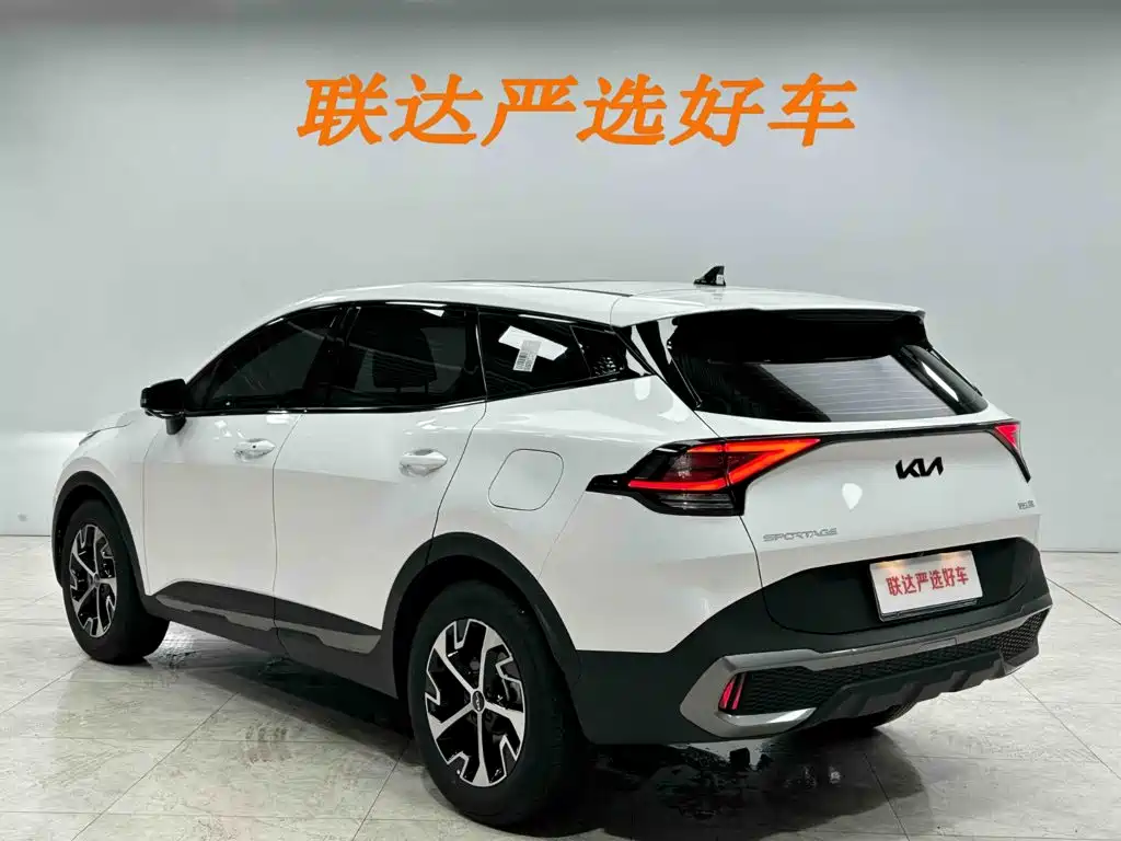 Kia Lion Platinum Expands The Boundary 2026 — фото 23
