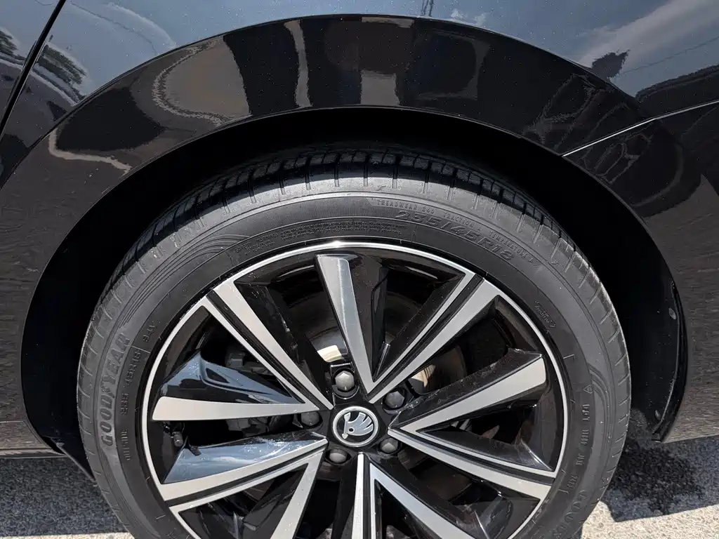 Skoda Speedy 2023 — фото 18