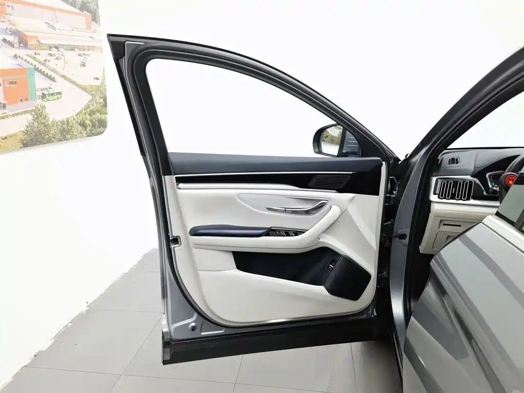 BYD PLUS New Energy 2023 — фото 8