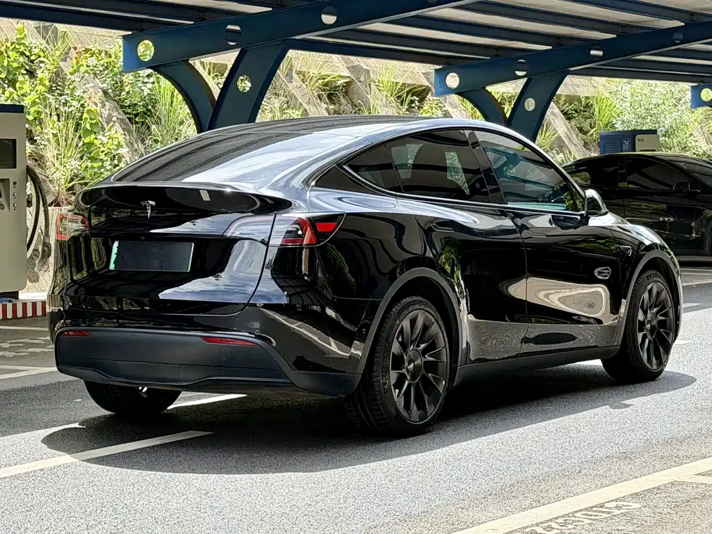 Tesla Model Y 2023 — фото 4