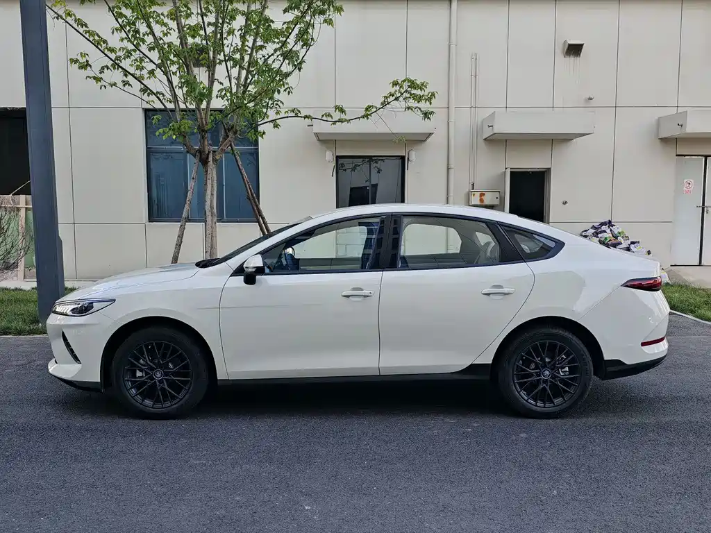 BYD Qin PLUS 2025
