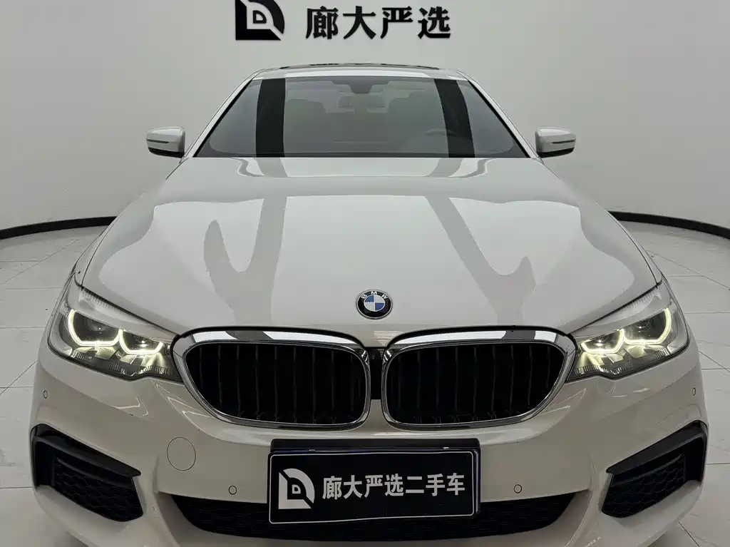 BMW 5 Series 2019