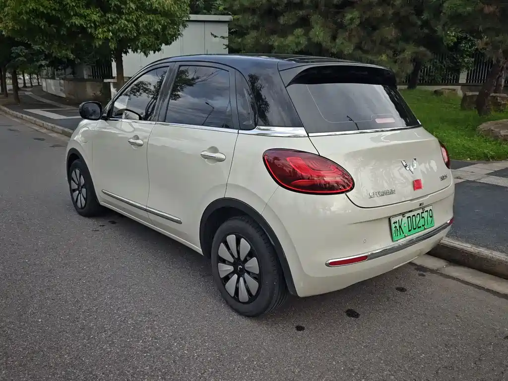 Wuling Bingo 2024
