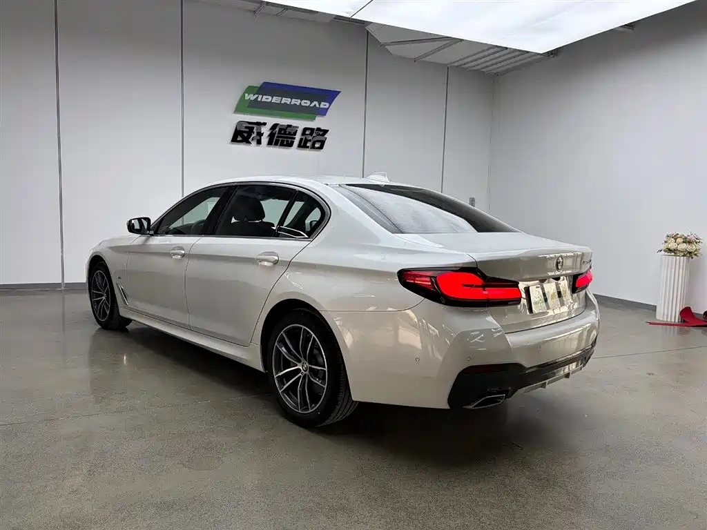 BMW 5 Series 2021