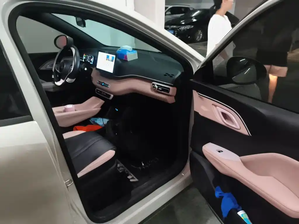 BYD Seagull 2025 — фото 19