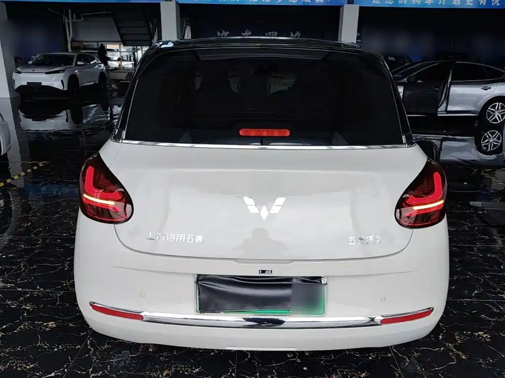 Wuling Bingo 2024