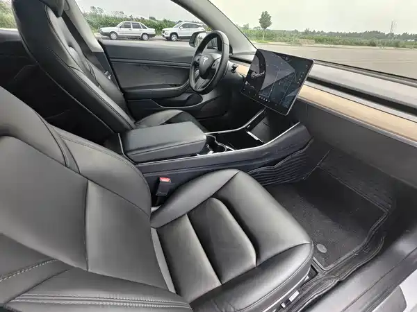 Tesla Model 3 2020