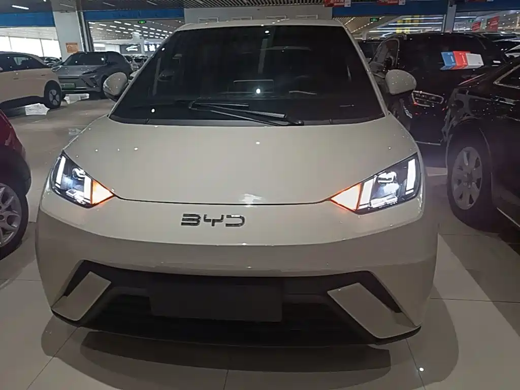 BYD Seagull 2024