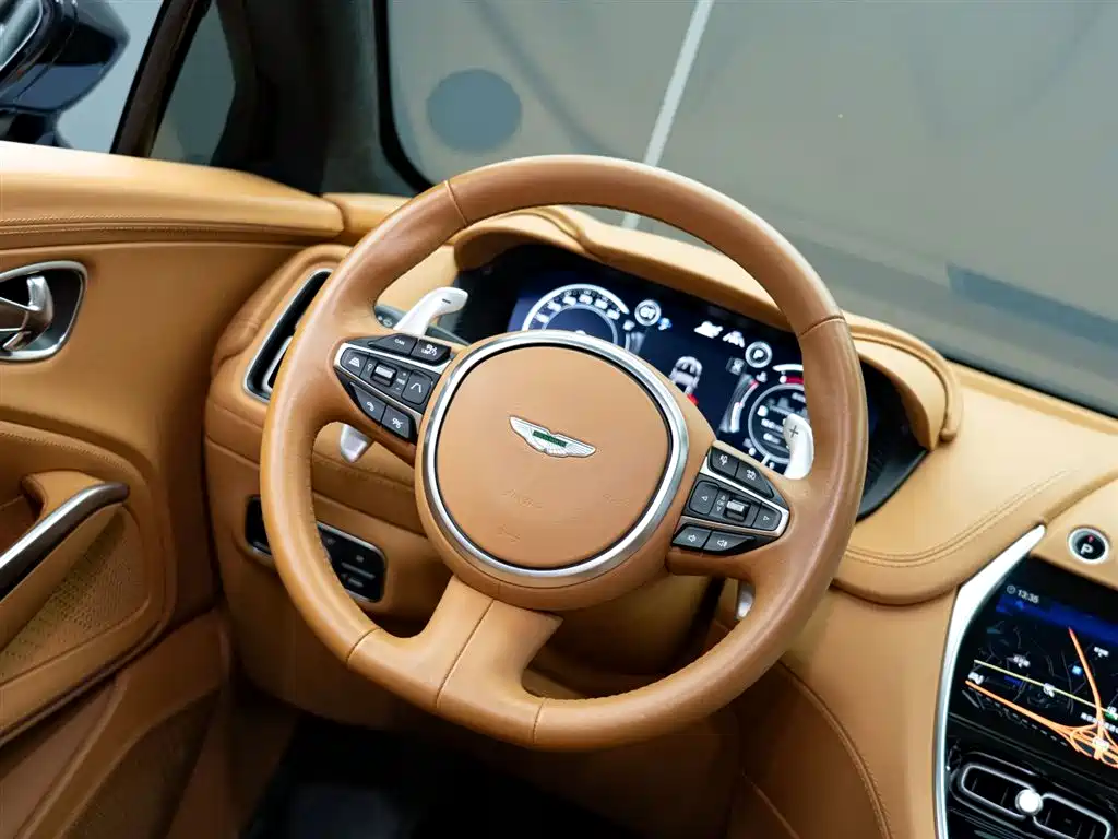 Aston Martin DBX 2024 — фото 13