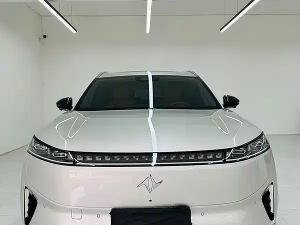 Dongfeng e008 2025