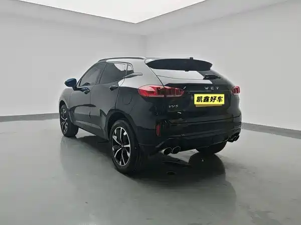 Wey VV5 2019