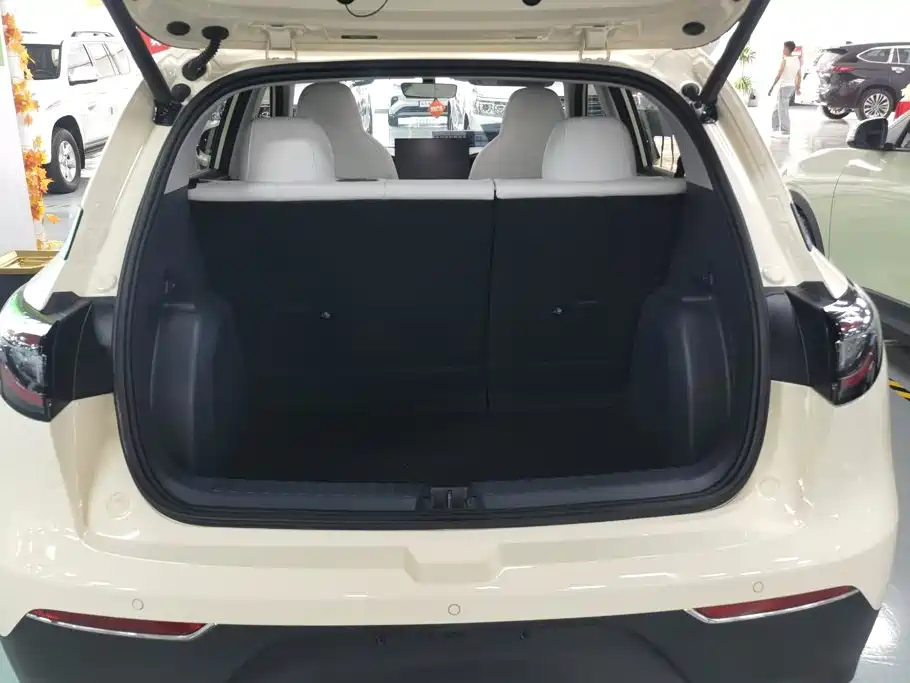 Geely Galaxy Starwish 2025