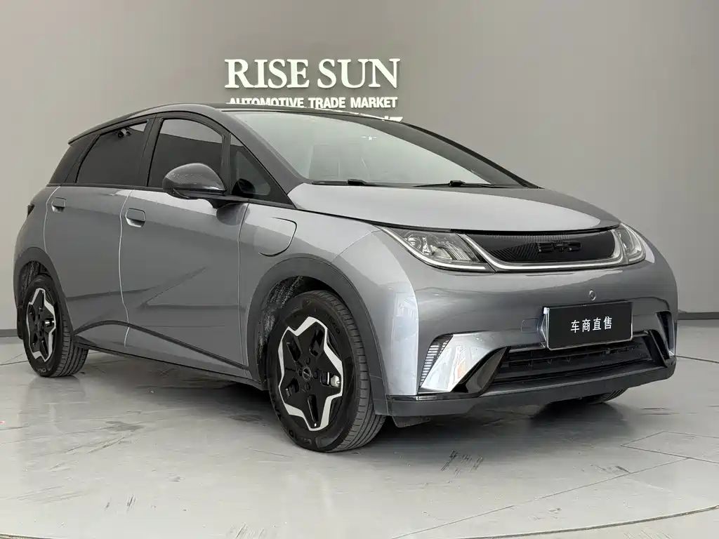 BYD Dolphin 2022