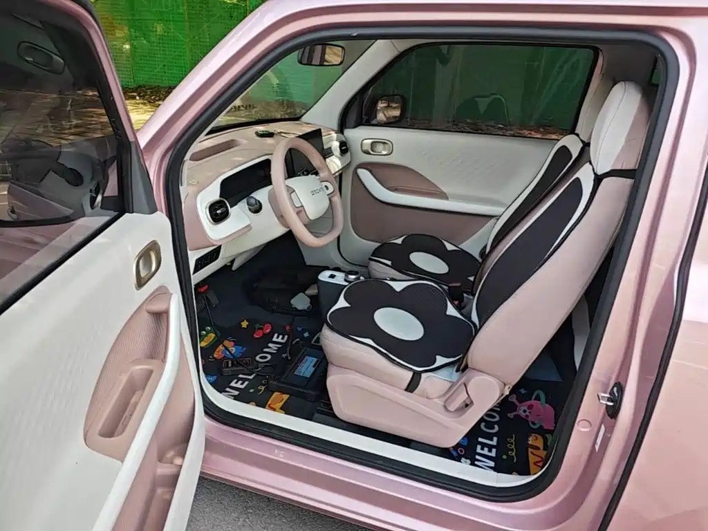 Geely Galaxy Panda 2025 — фото 16