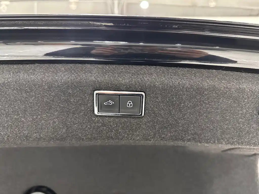 Volkswagen Phideon 2019 — фото 13