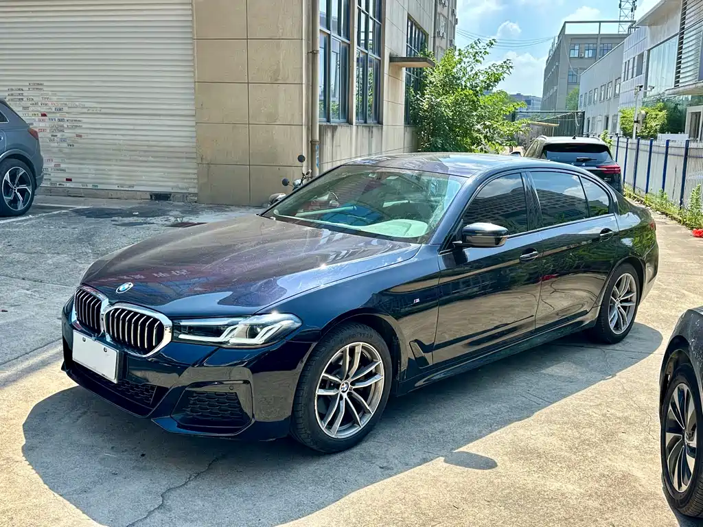 BMW 5 Series 2019