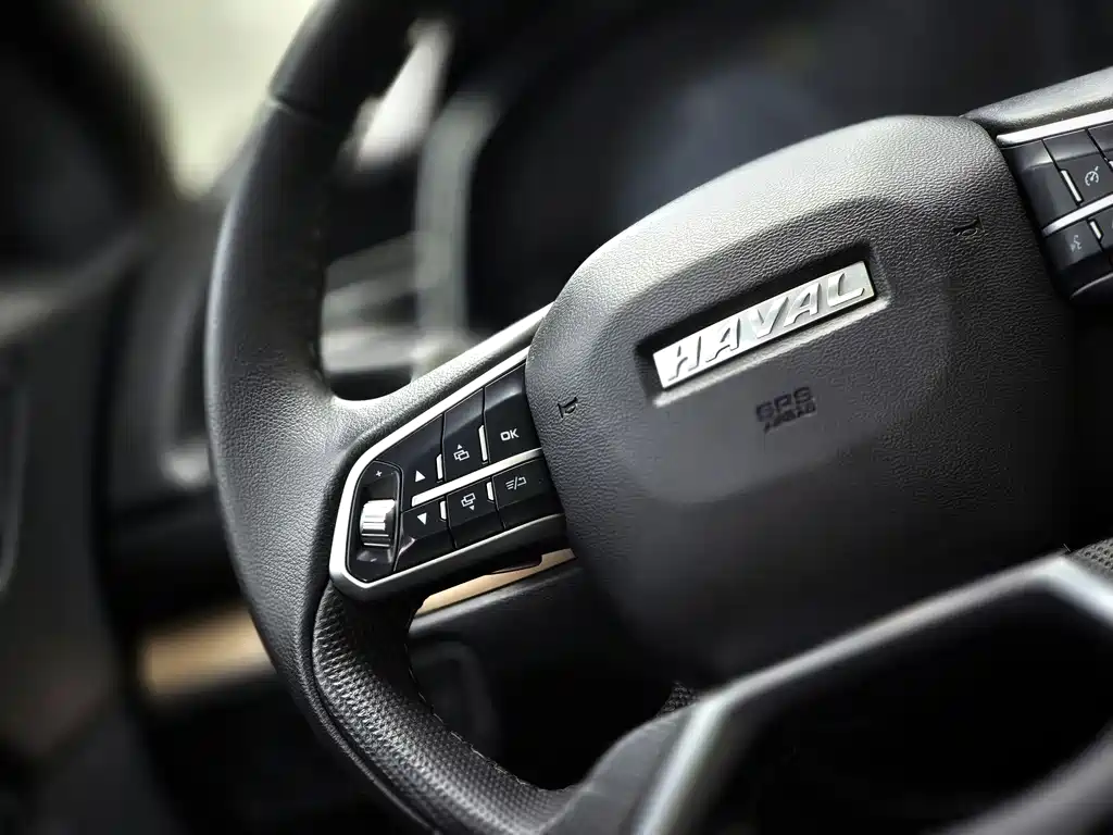 Haval H6 2020 — фото 15